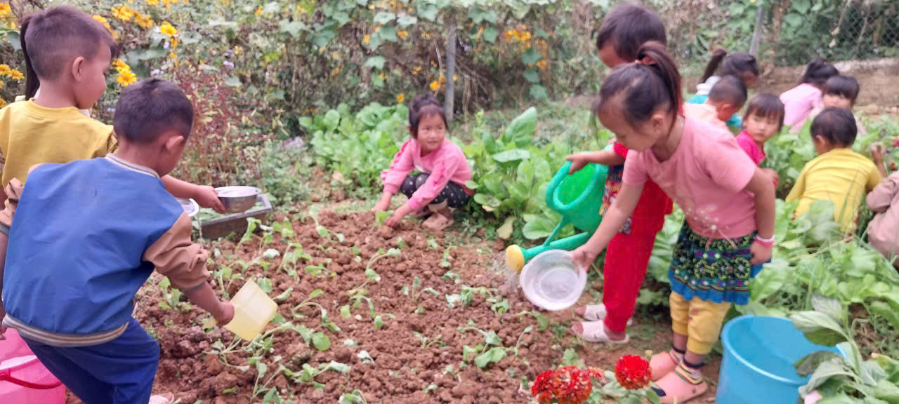 Hình ảnh trẻ tưới nước vào luống rau